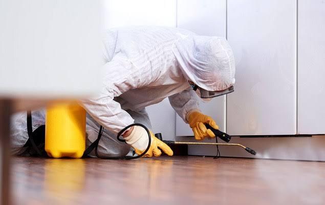 Tips Rumah Anti Rayap